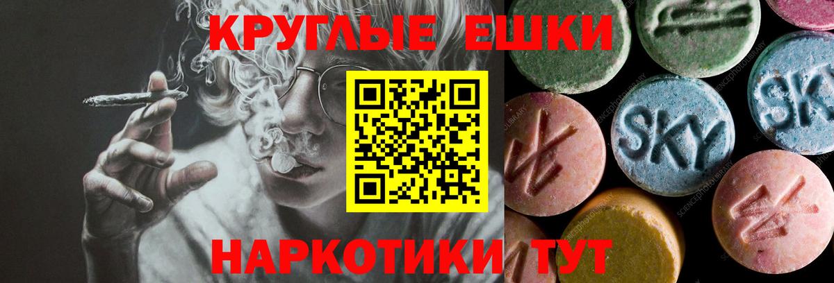 Ecstasy Philipp Plein Курск
