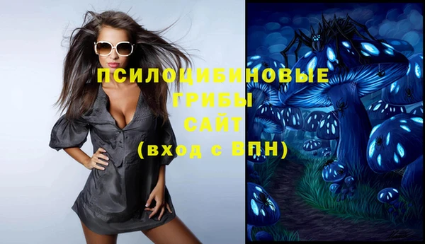 эйфоретик Арсеньев