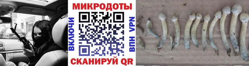 Псилоцибиновые грибы мухоморы МЕГА вход Курск