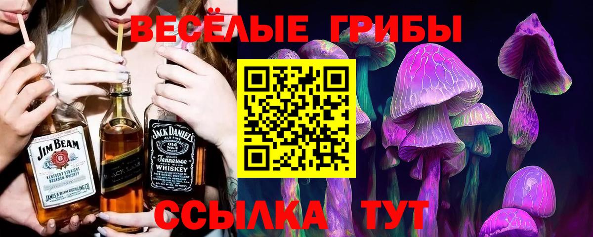 Курск  Галлюциногенные грибы Cubensis  Вход с VPN 