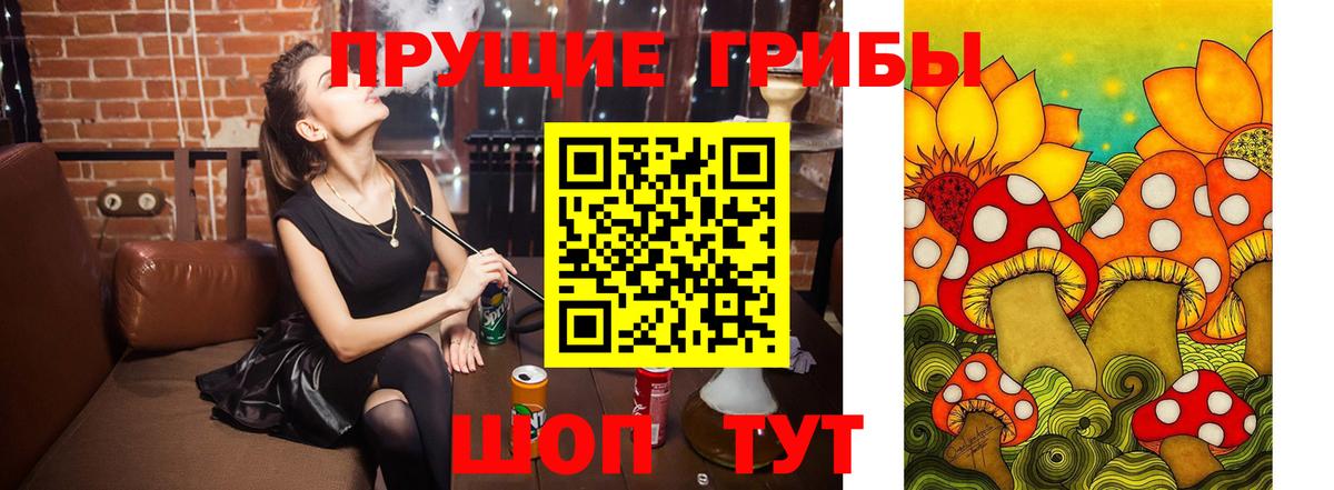 Галлюциногенные грибы мицелий Курск
